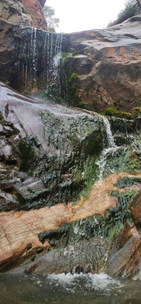 宁夏防沙治理生态修复草籽品种